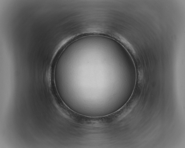 X0000111950580200908031200