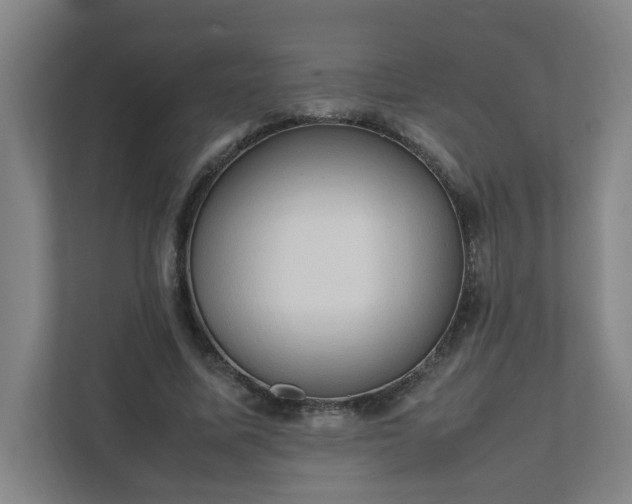 X0000111950587200908031200