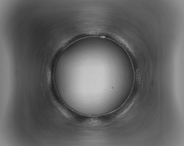 X0000111950589200908031200