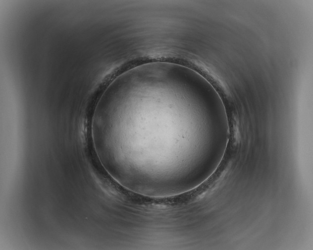 X0000111950592200908031200