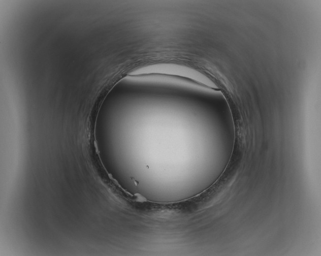 X0000111950593200908031200