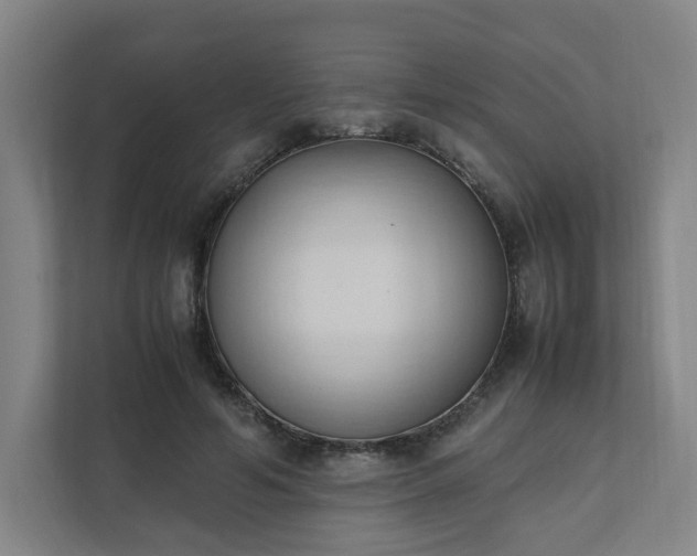 X0000111950594200908031200