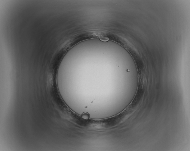 X0000111950595200908031200