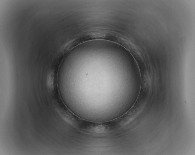 X0000111950600200908031159