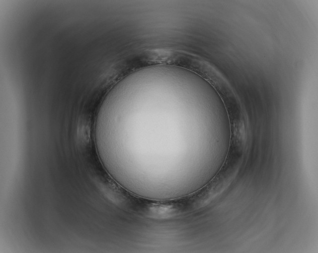 X0000111950602200908031159
