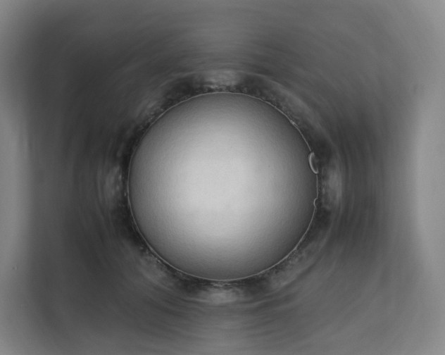 X0000111950608200908031159