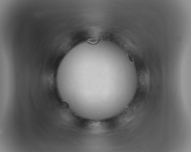 X0000111950611200908031159