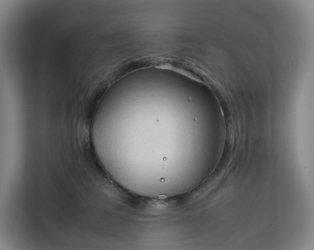 X0000111950613200908031159