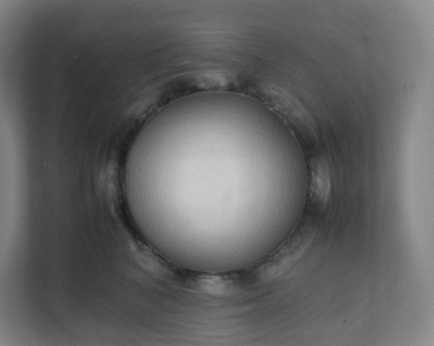 X0000111950616200908031159