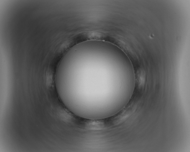 X0000111950619200908031159