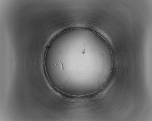 X0000111950625200908031159