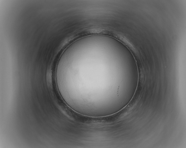 X0000111950626200908031159