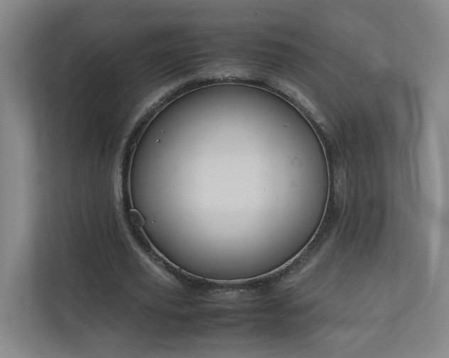 X0000111950629200908031159