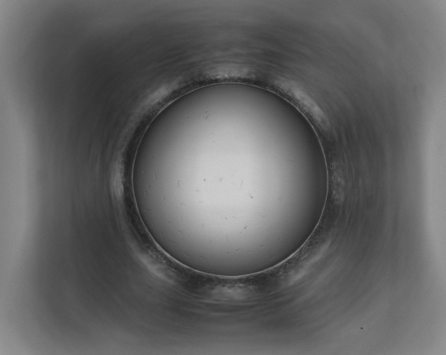 X0000111950631200908031159