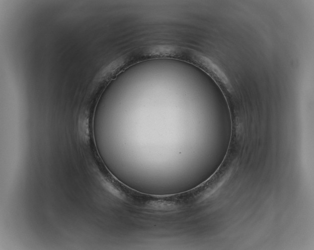 X0000111950633200908031159