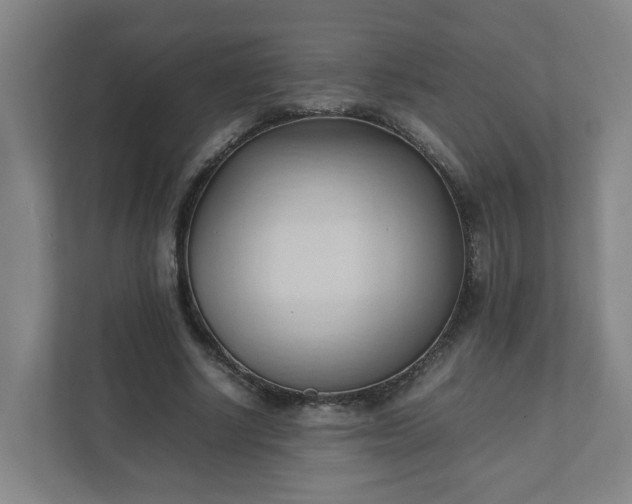 X0000111950634200908031159