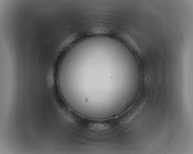 X0000111950635200908031159