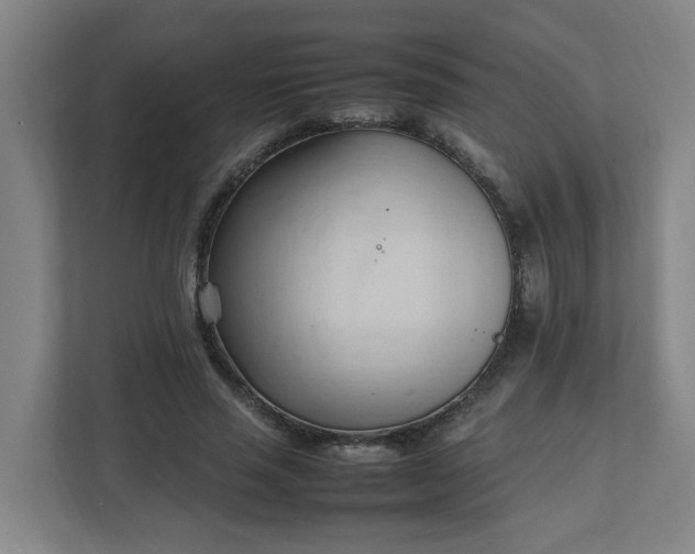 X0000111950637200908031159