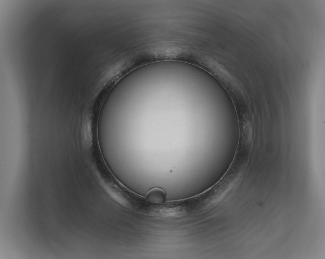 X0000111950638200908031159