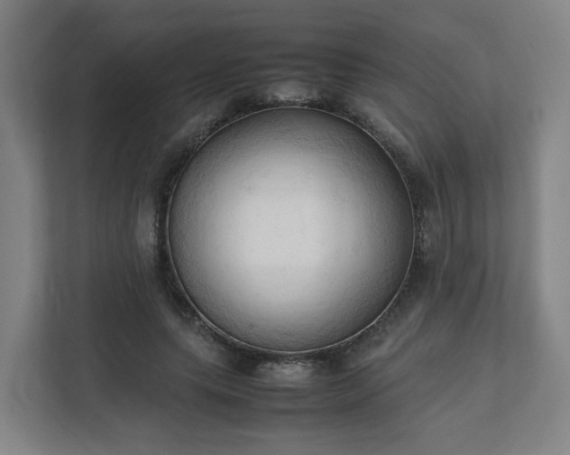 X0000111950639200908031159