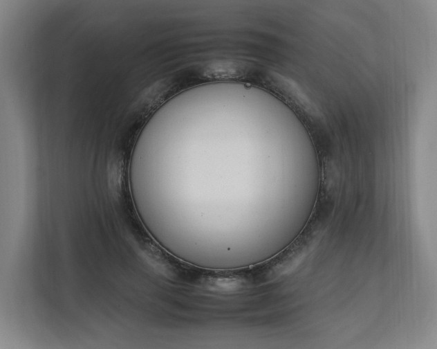 X0000111950645200908031159