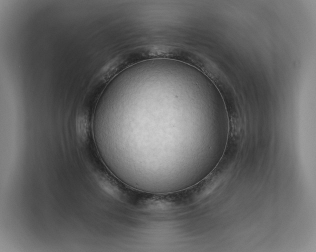 X0000111950648200908031159