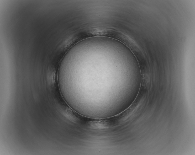 X0000111950652200908031159