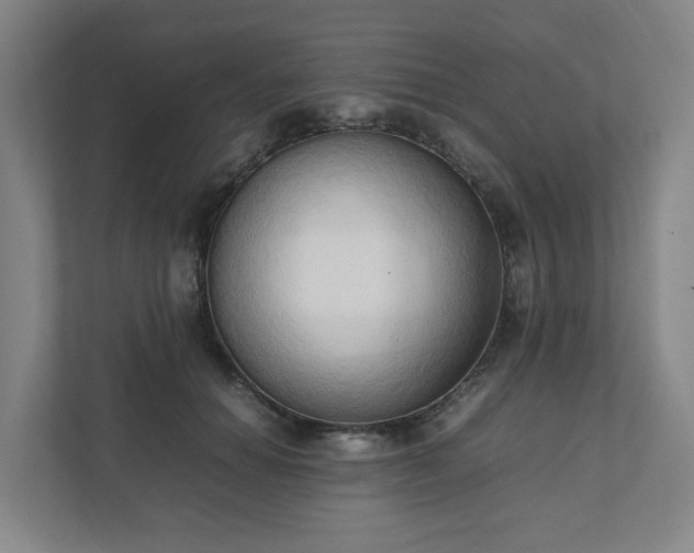 X0000111950654200908031159