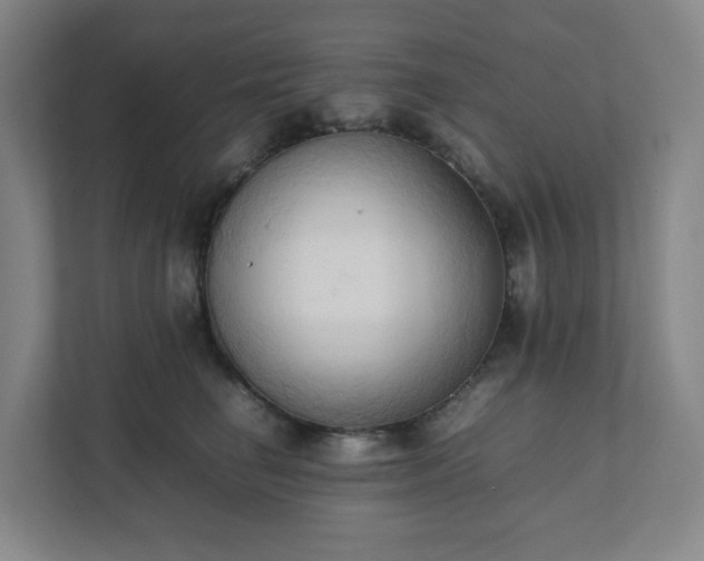 X0000111950662200908031159