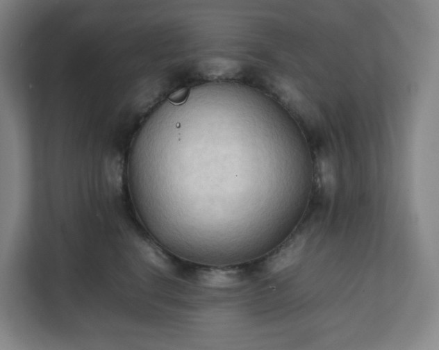 X0000111950664200908031159