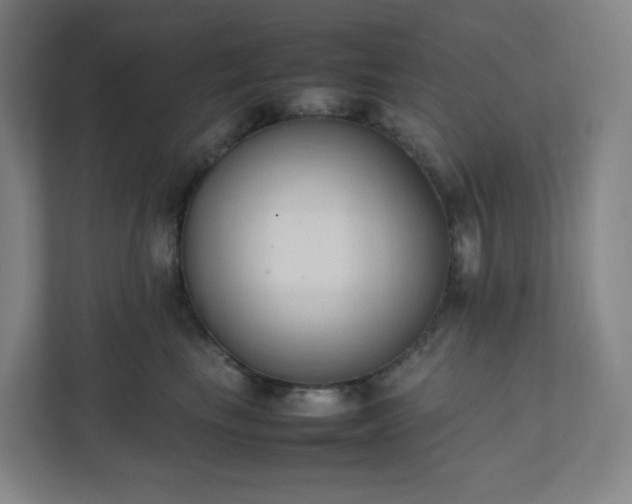 X0000111950665200908031159