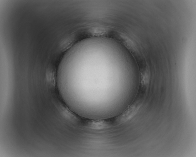 X0000111950666200908031159