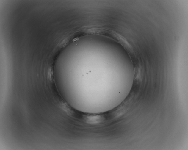 X0000111950669200908031159