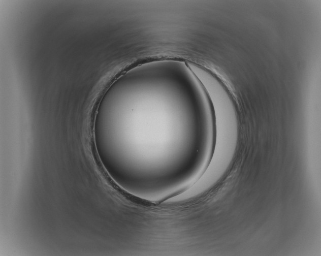 X0000111950673200908031159