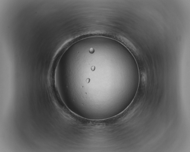 X0000111950676200908031158