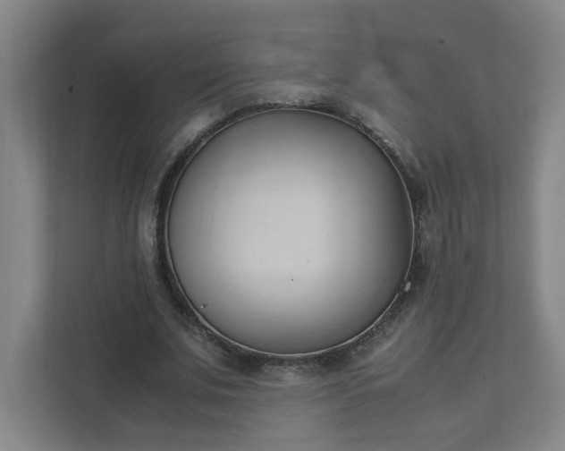 X0000111950679200908031158