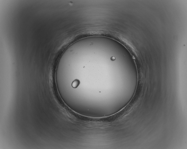 X0000111950681200908031158