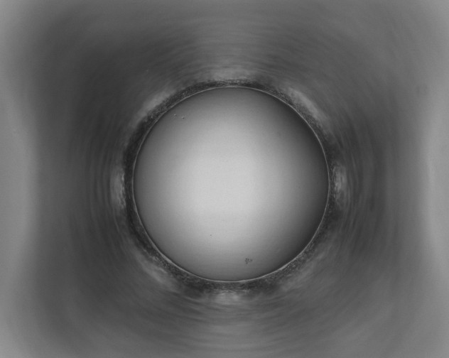 X0000111950684200908031158