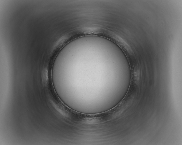 X0000111950686200908031158