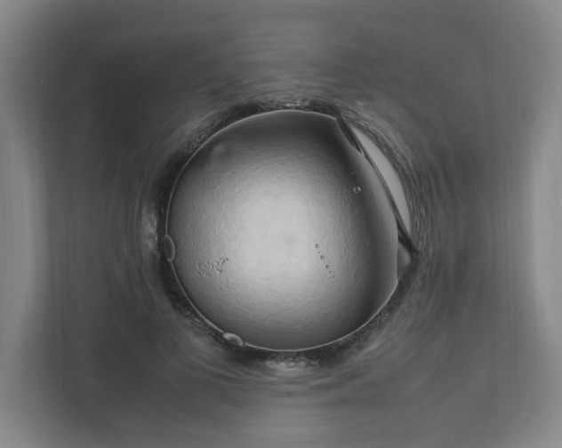 X0000111950693200908031158