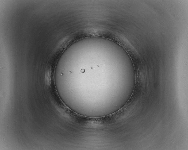 X0000111950694200908031158
