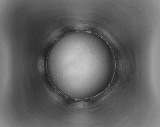 X0000111950696200908031158