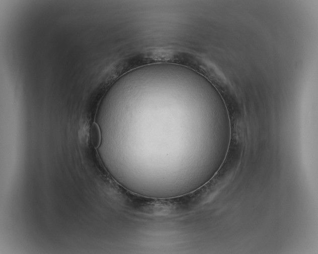 X0000111950697200908031158
