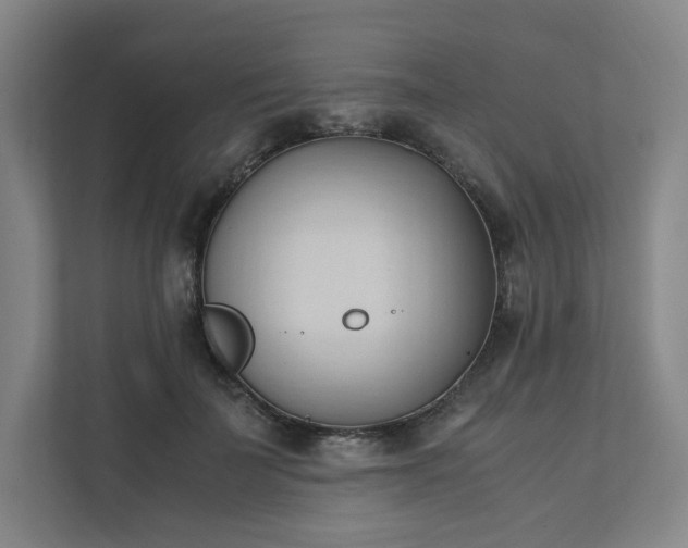 X0000111950699200908031158