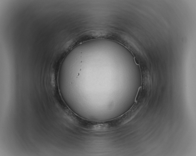X0000111950700200908031158