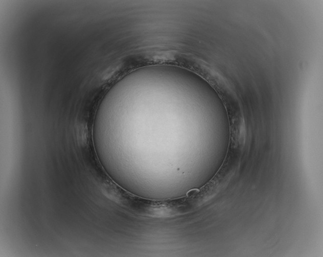X0000111950704200908031158