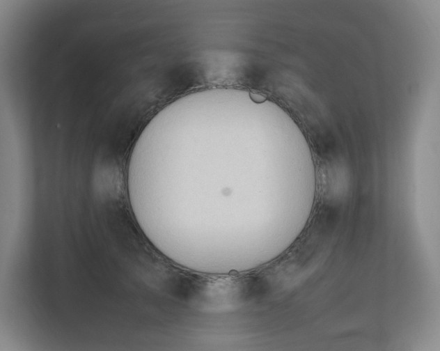 X0000111950705200908031158