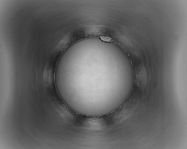 X0000111950708200908031158