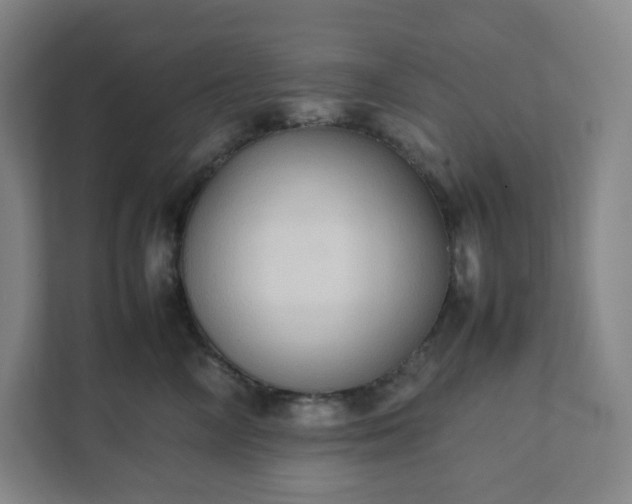 X0000111950714200908031158