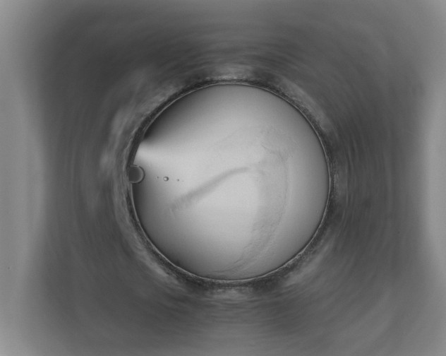 X0000111950721200908031157